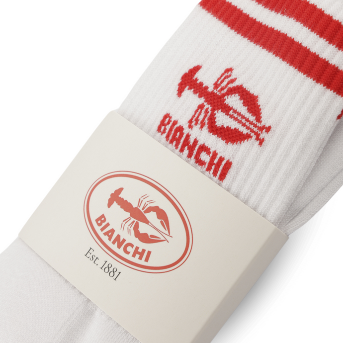 Bianchi Sportsocken