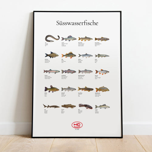 Bianchi Süsswasserfische Poster
