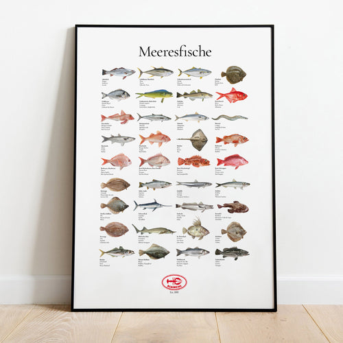 Bianchi Meeresfische Poster